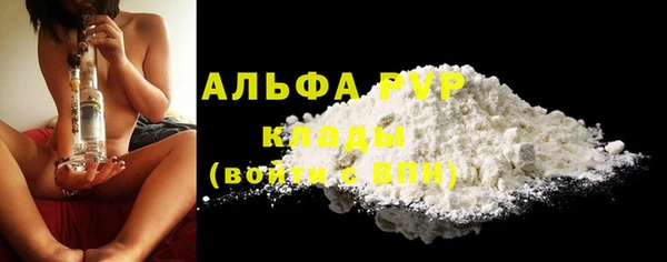 стафф Арсеньев