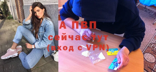 стафф Арсеньев