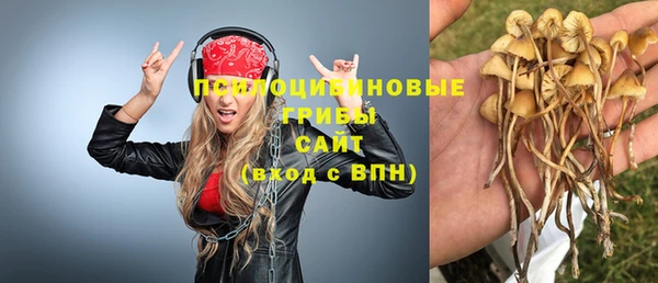 скорость Алексин